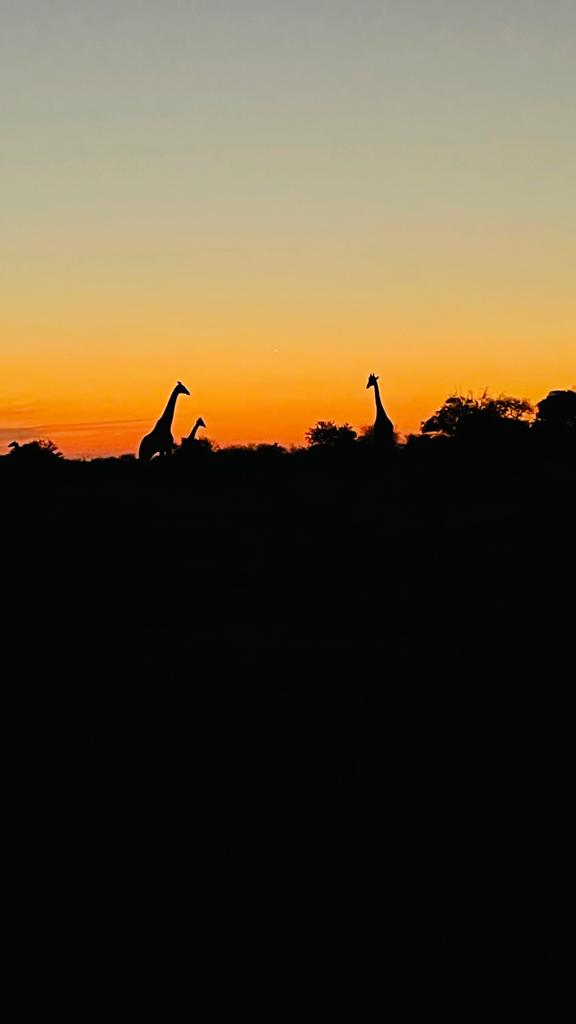 Kruger National Park