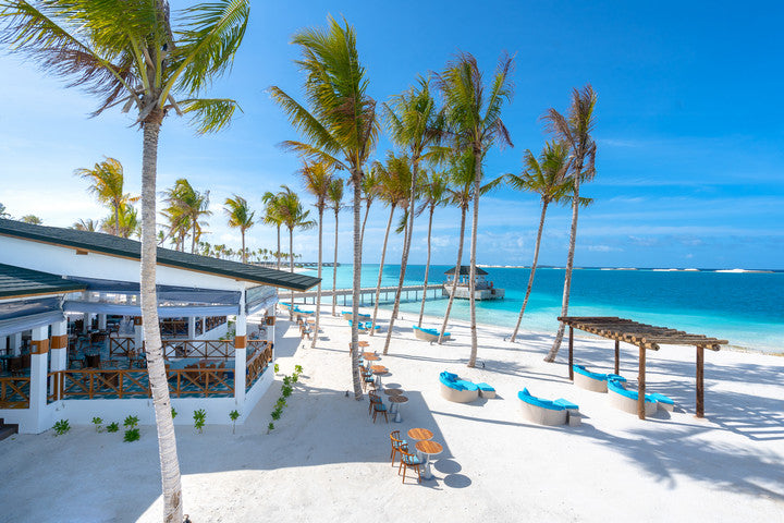 Joy Island The Cocoon Collection *ALL INCLUSIVE*