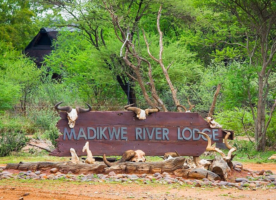 Madikwe River Lodge - (MIDWEEK STAY)