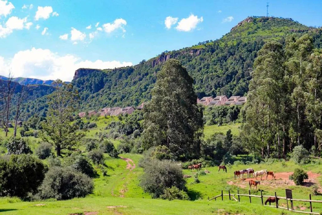 Midweek Stay under the Drakensberg Sky at the 4-star Little Switzerland Resort