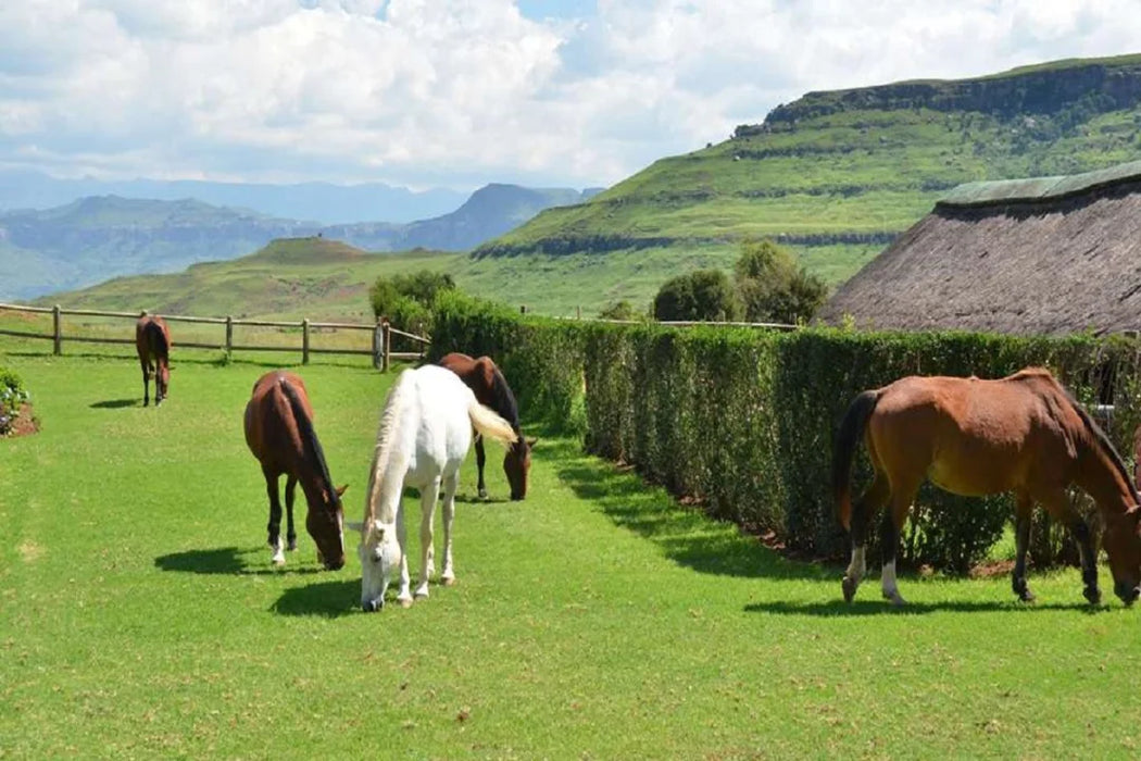 Midweek Stay under the Drakensberg Sky at the 4-star Little Switzerland Resort