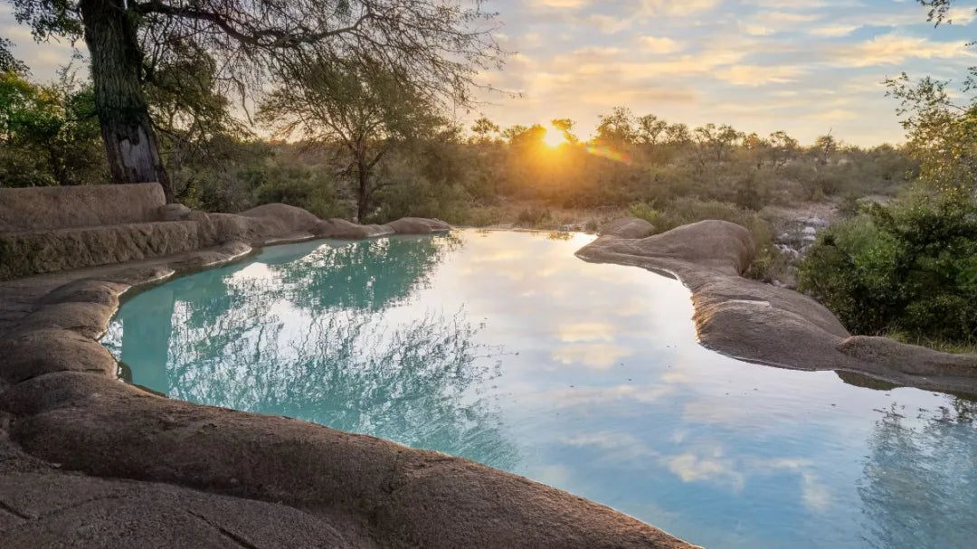 4‑Star Motswari African Retreat | 3‑Night Walking Safari Escape