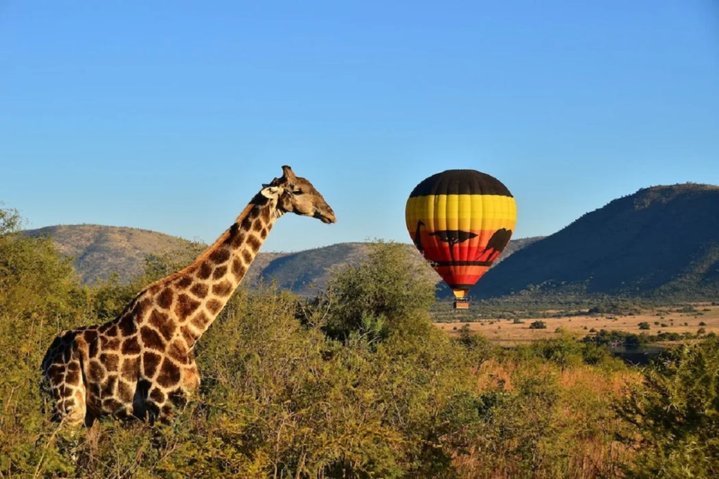 5‑Star Palace of the Lost City Sun City | 2‑Night Luxury Safari Escape