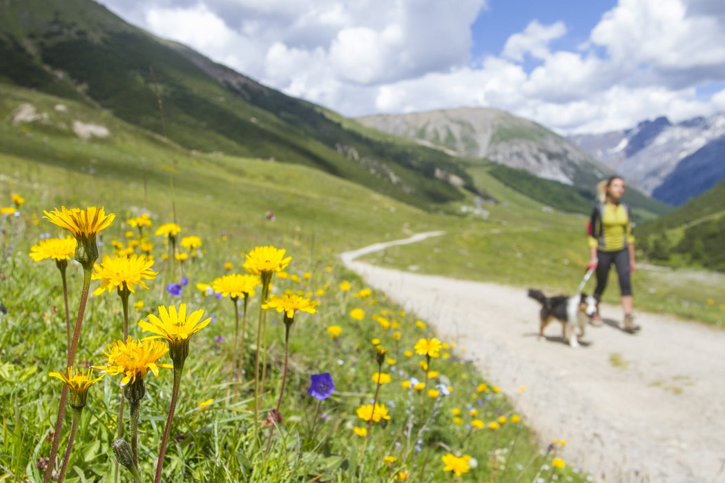 Livigno Italy *Opening Season*