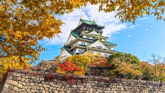 Splendours of Japan - Tokyo - Miyajima Island, Kyoto & More