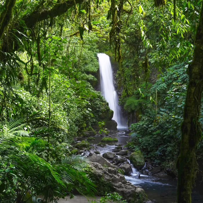 Costa Rica Adventure