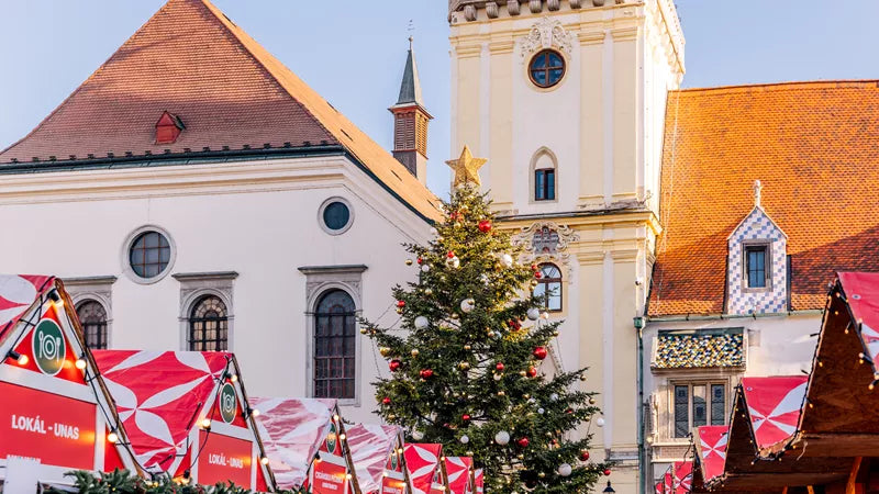 Christmas market with a large decorated tree in front of a historic building