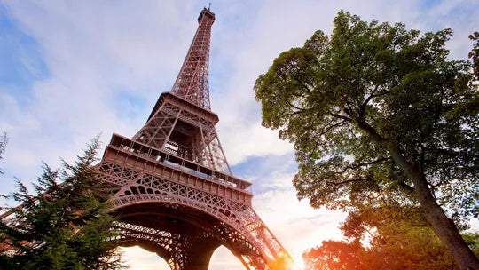 European Highlights - Amsterdam, Lucerne, Burgundy Wine Region & More
