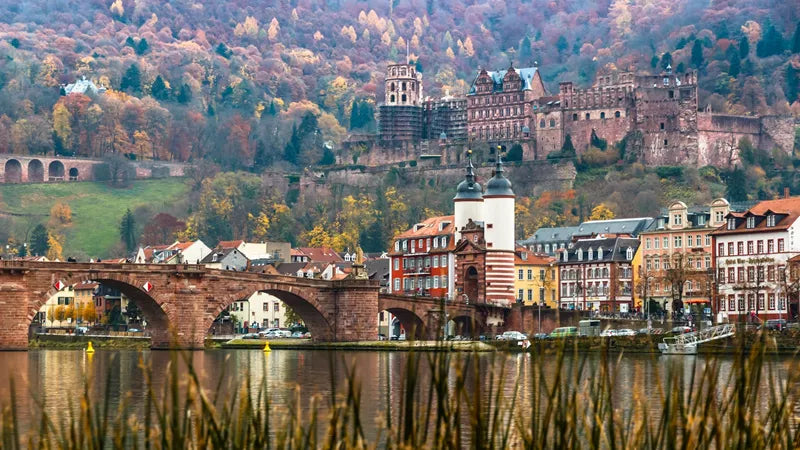 European Highlights - Amsterdam, Lucerne, Burgundy Wine Region & More