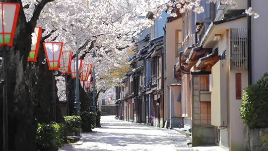 Splendours of Japan - Tokyo - Miyajima Island, Kyoto & More