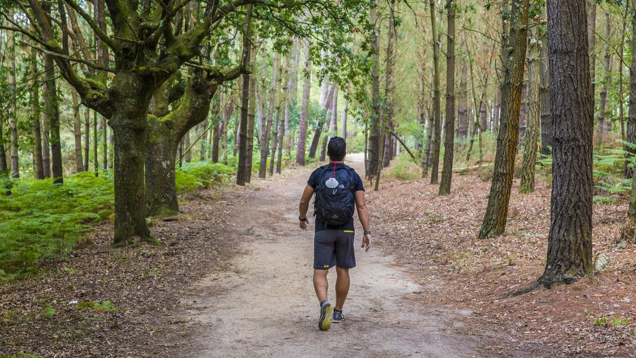 Walk the Camino De Santiago