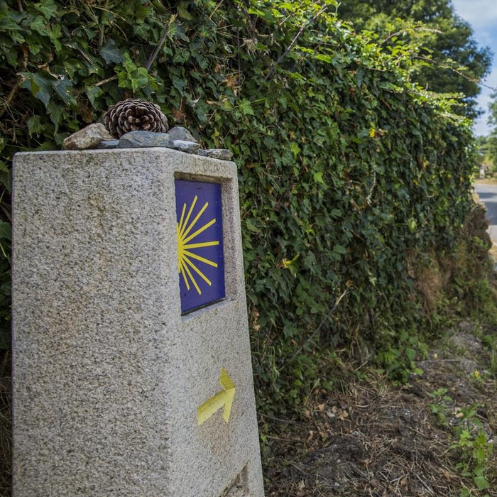 Walk the Camino De Santiago