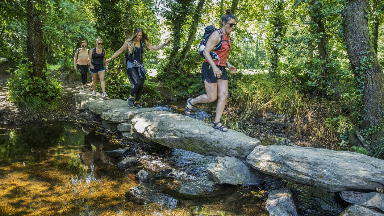 Walk the Camino De Santiago