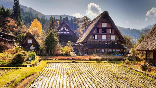 Splendours of Japan - Tokyo - Miyajima Island, Kyoto & More