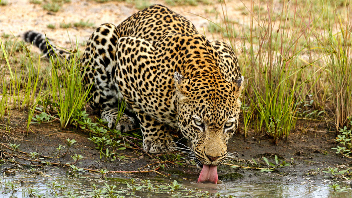 3 Day Kruger Park Budget Safari