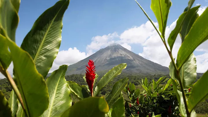 Costa Rica Adventure