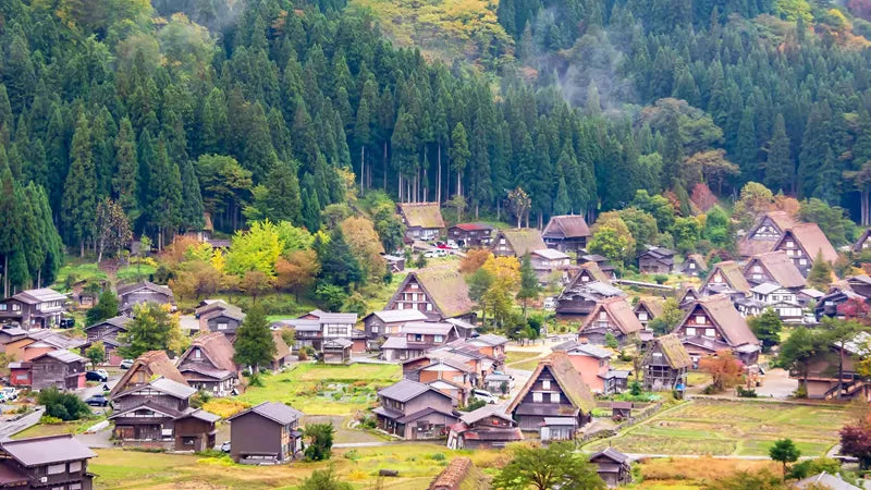 Splendours of Japan - Tokyo - Miyajima Island, Kyoto & More