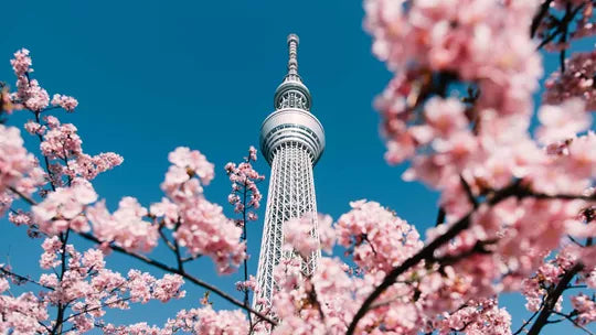 Splendours of Japan - Tokyo - Miyajima Island, Kyoto & More