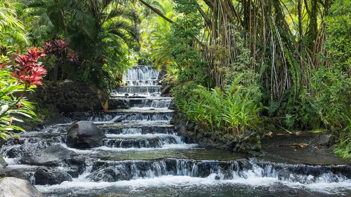 Costa Rica Adventure