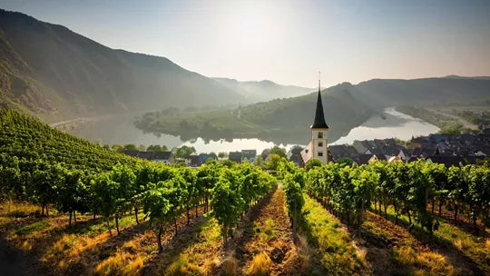 European Whirl - Amsterdam, Innsbruck, Venice & More