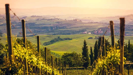 European Whirl - Amsterdam, Innsbruck, Venice & More