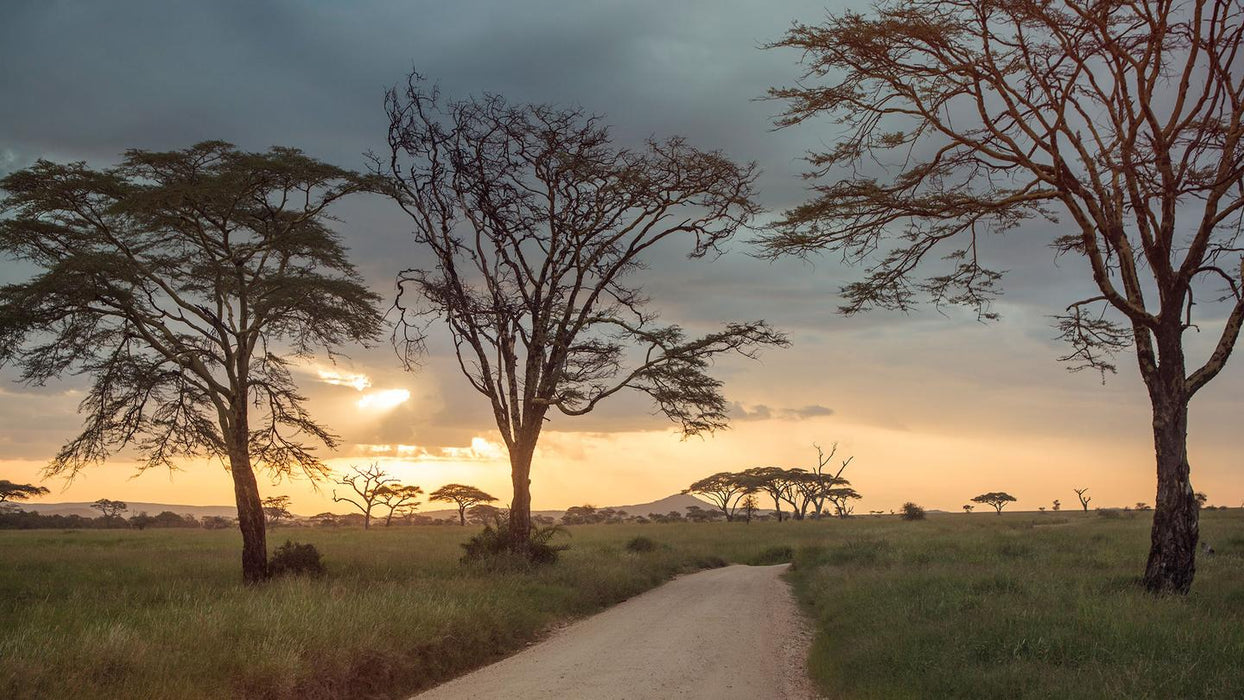 Classic Serengeti & Zanzibar