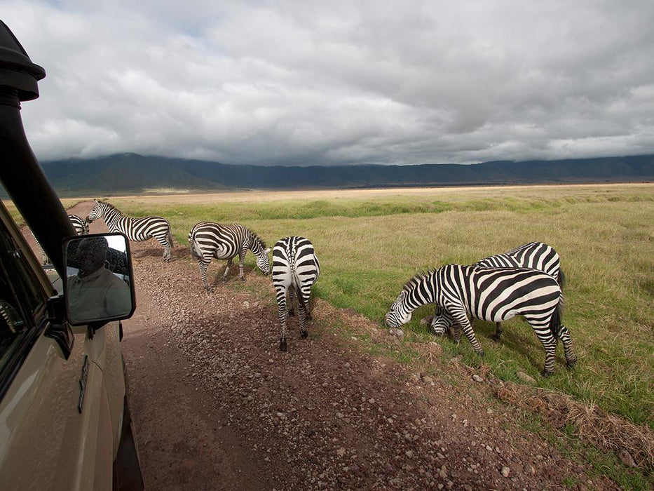 Classic Serengeti & Zanzibar