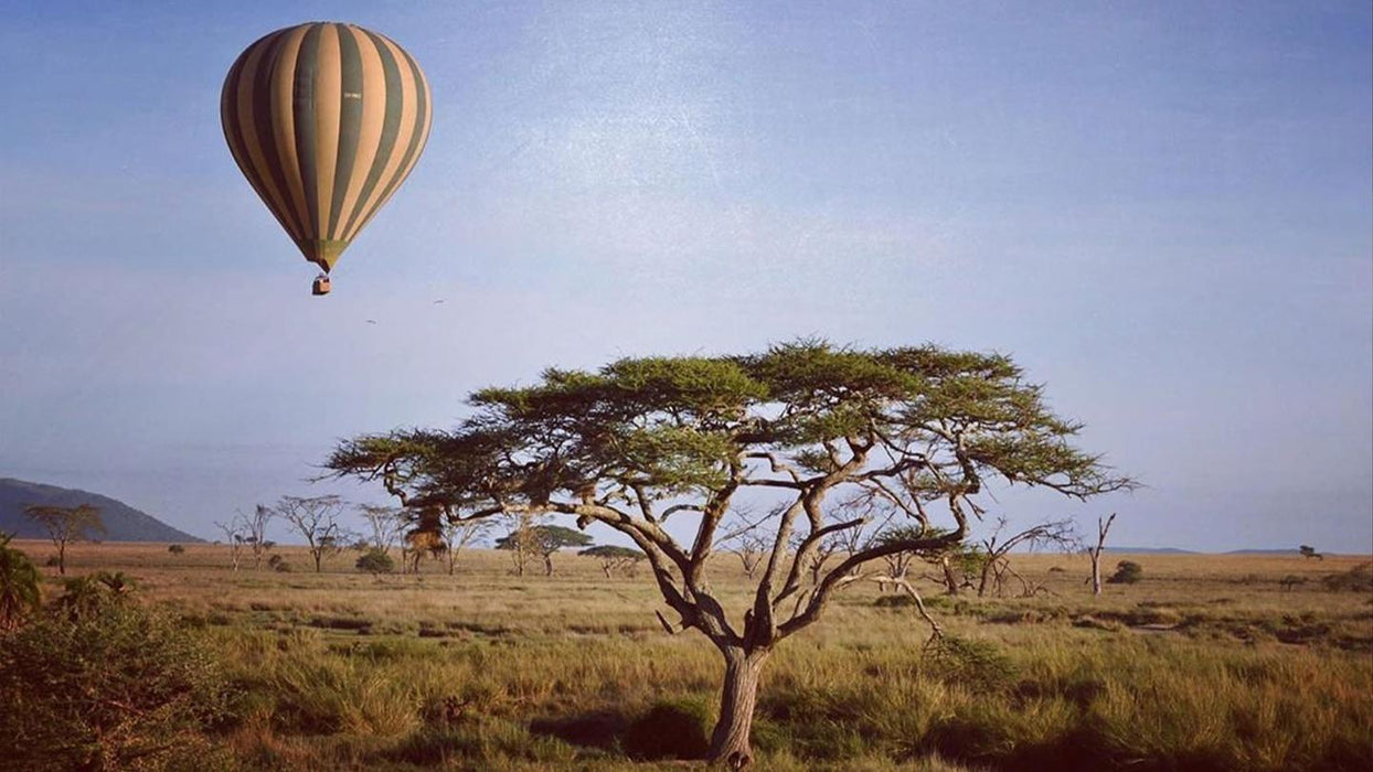 Classic Serengeti & Zanzibar