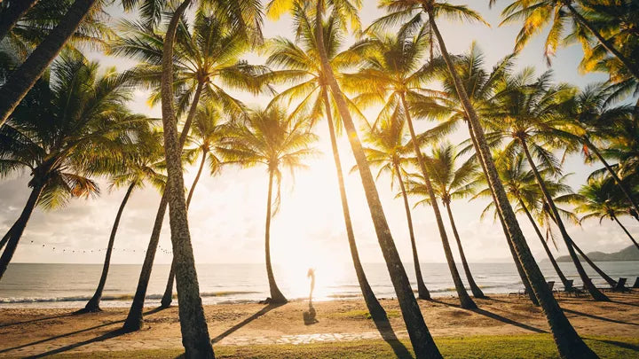 Tropical Cairns & The Great Barrier Reef