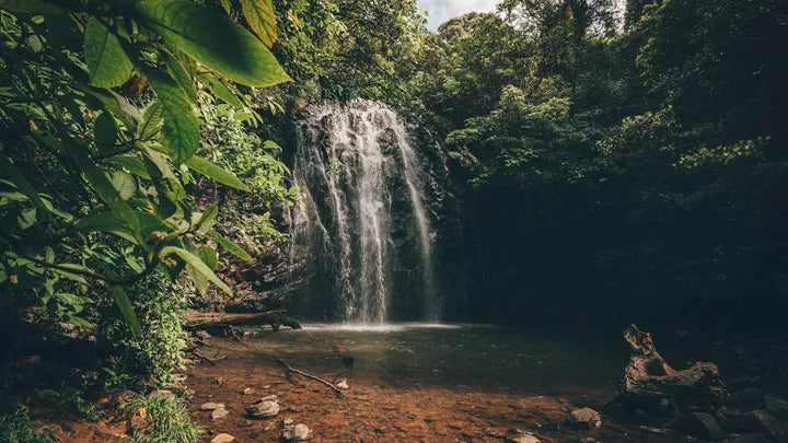 Tropical Cairns & The Great Barrier Reef